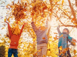 Herbstcamp Herbstcamp